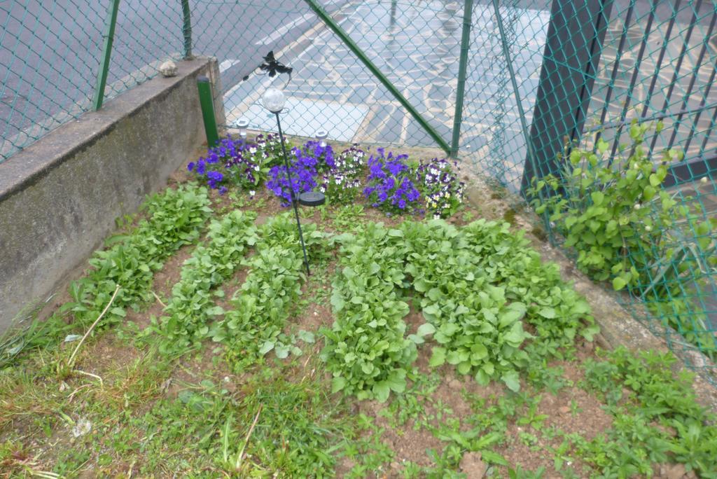 Bed and breakfast Ametista Bergamo Ponteranica