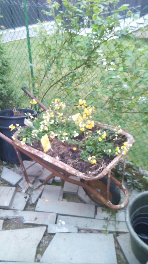 Ametista Bergamo Bed and breakfast *
